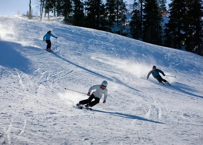 Aateli Lakeside Hotelli 4*